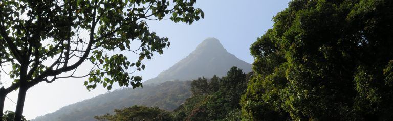 Sri Pada/Adam's Peak. La montaña sagrada de Sri Lanka IMG_0683