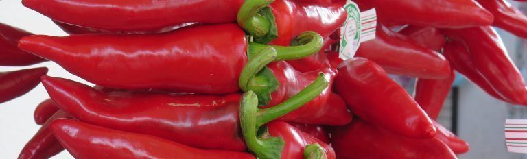 3 días en el País Vasco francés (II): Espelette, Ainhoa, Sare y Bayona IMG_3810