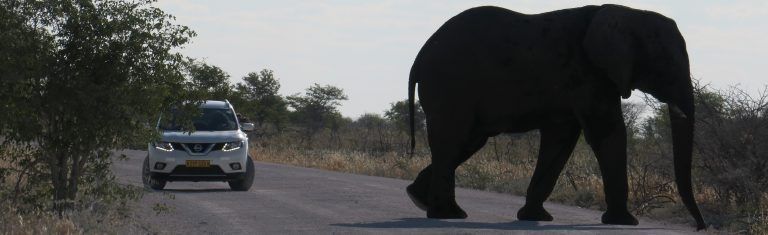 Conducir por Namibia. ¿Qué coche alquilar? IMG_12832