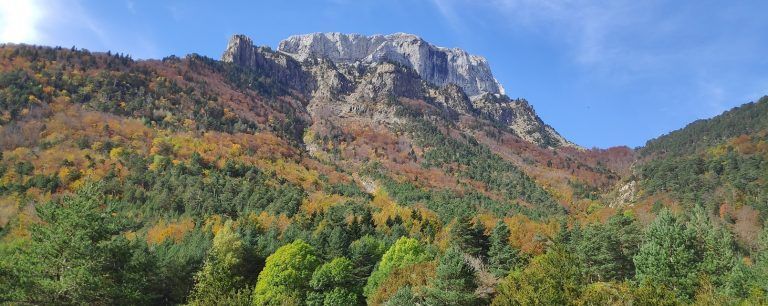 Portada Selva de Oza