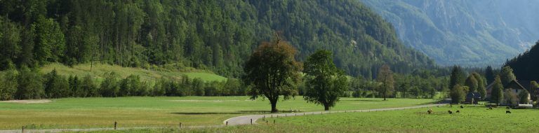 Dinero en un viaje a Eslovenia: presupuesto y consejos para ahorrar Portada presupuesto Eslovenia